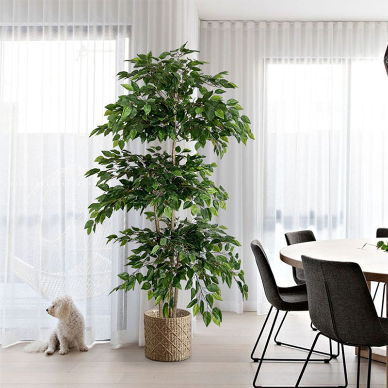 Ficus Lyrata Tree - Tanaman tropis besar pohon buatan 70in