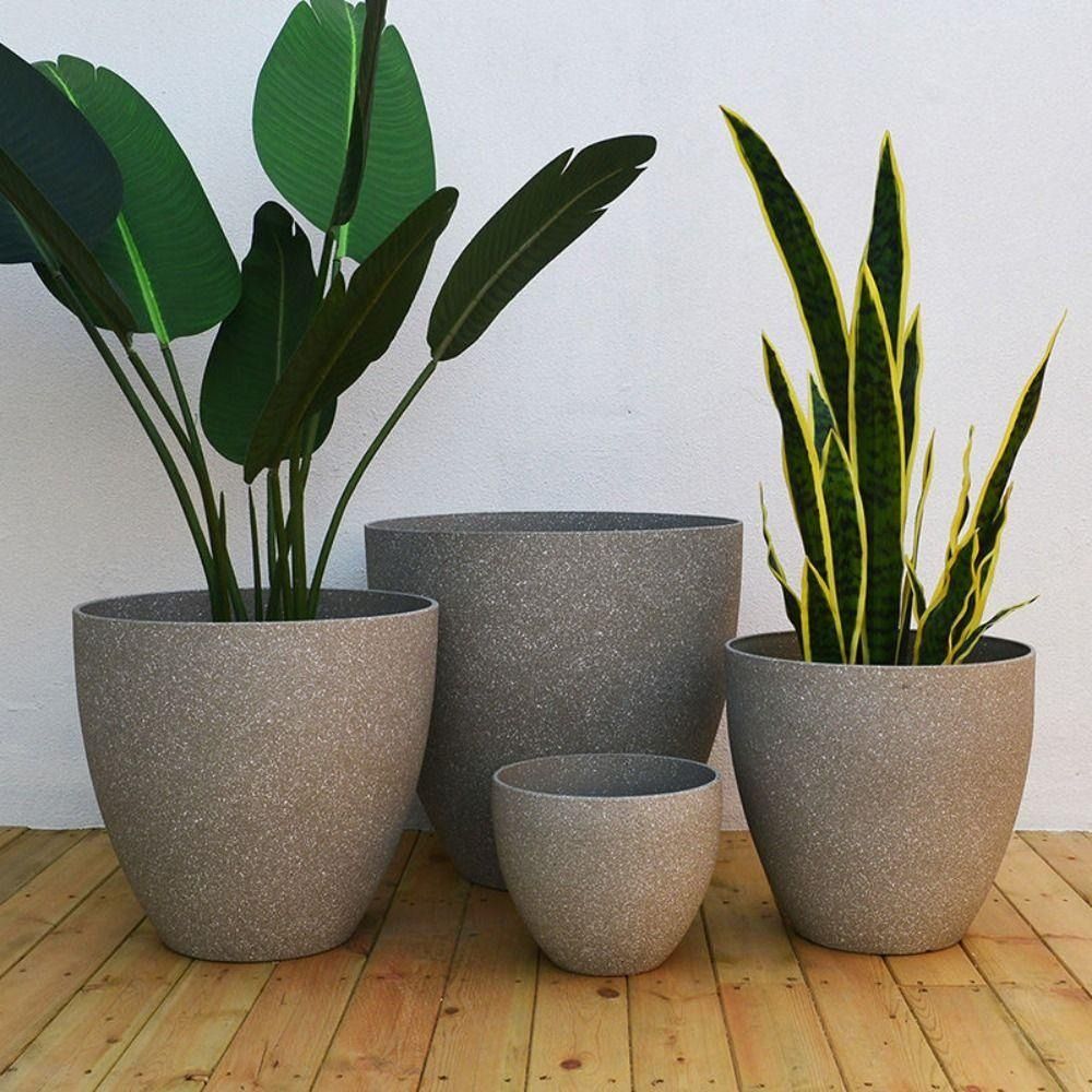 Pot Bunga Bonsai Batu Imitasi  - Aloe Vera Pot ulasan dan harga