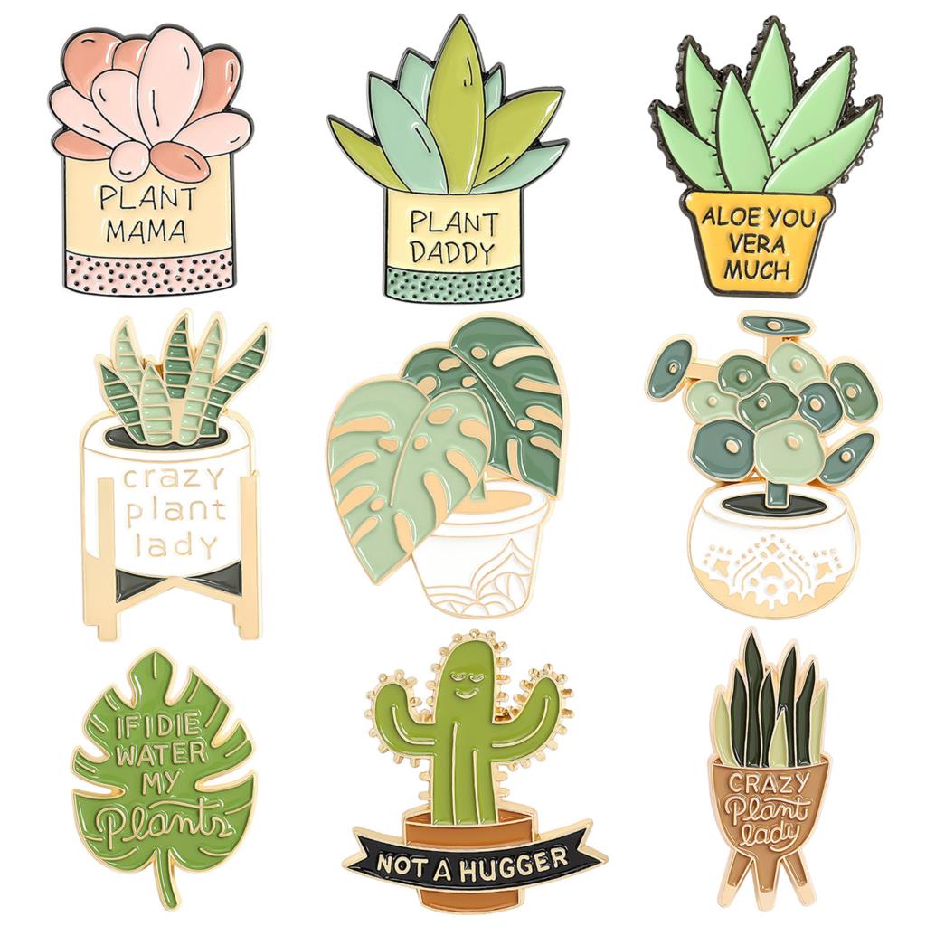 Bros tanaman pot Monstera bros - Aloe Vera Pot ulasan dan harga