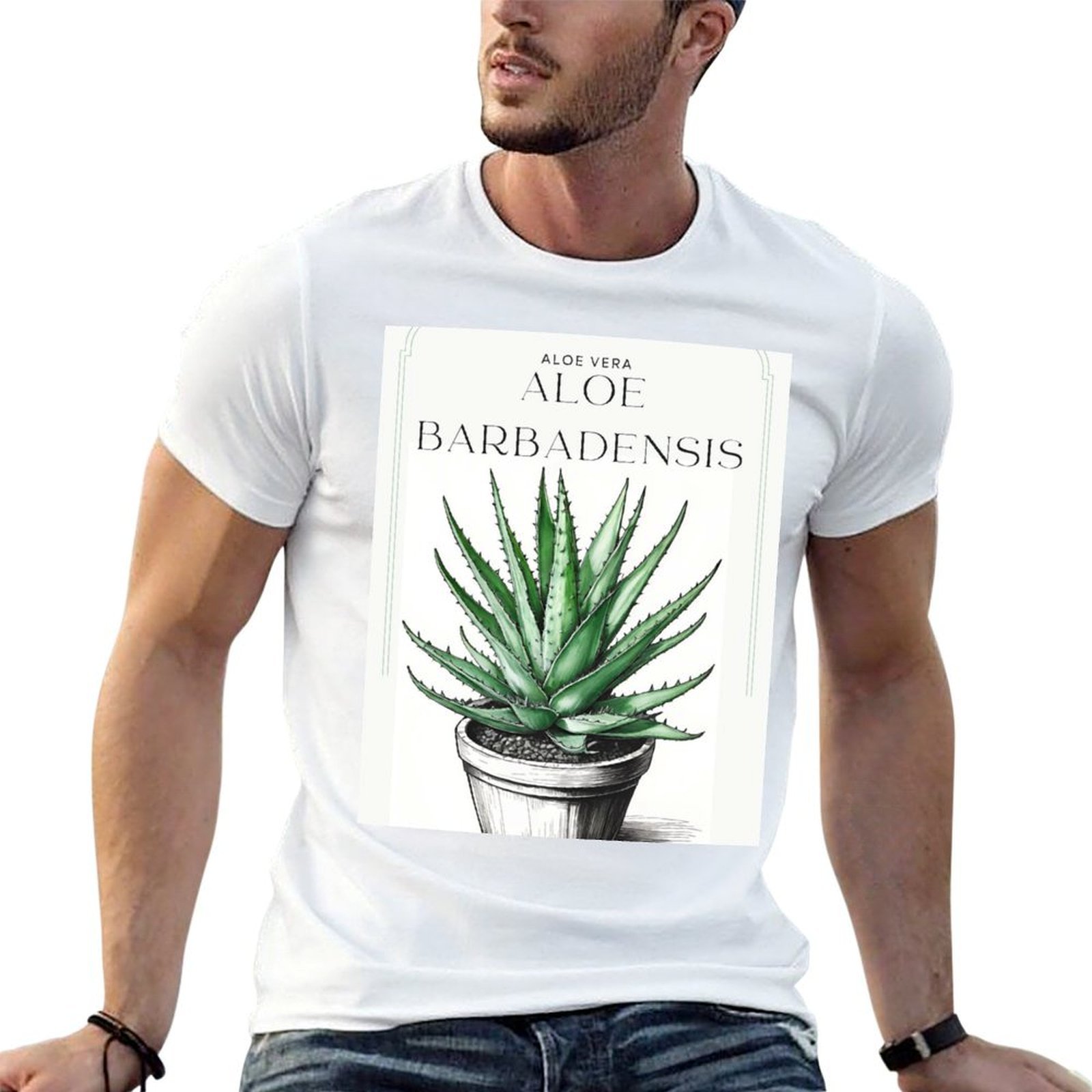 Aloe Vera Botani dalam pot ber - Aloe Vera Pot ulasan dan harga