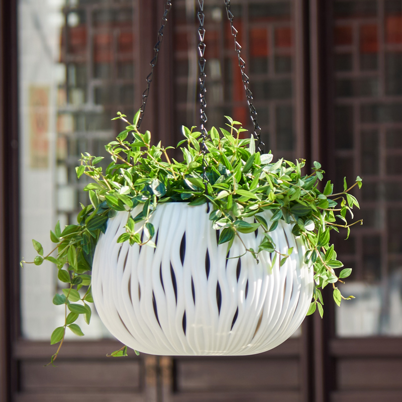 Pot gantung, bentuk plastik ya - Spider Plant Hanging ulasan dan harga