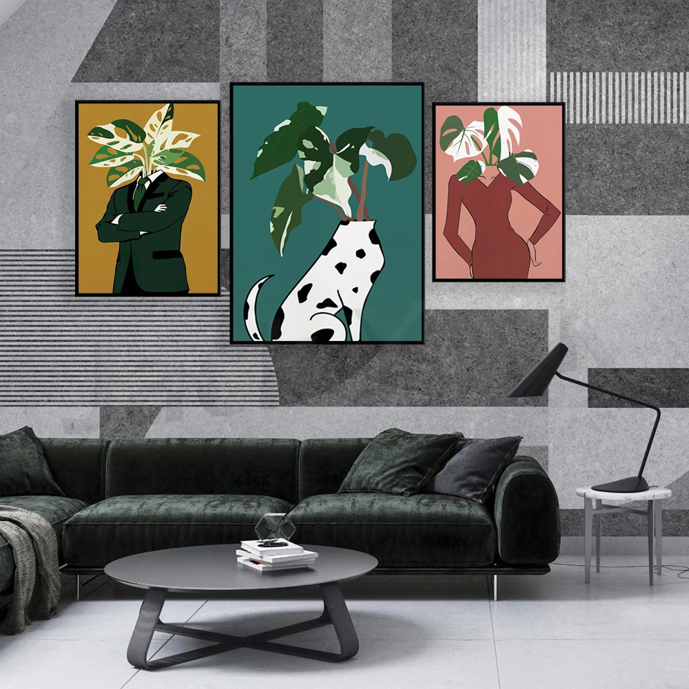 Monstera Albo dalam poster gau - Monstera Adansonii ulasan dan harga
