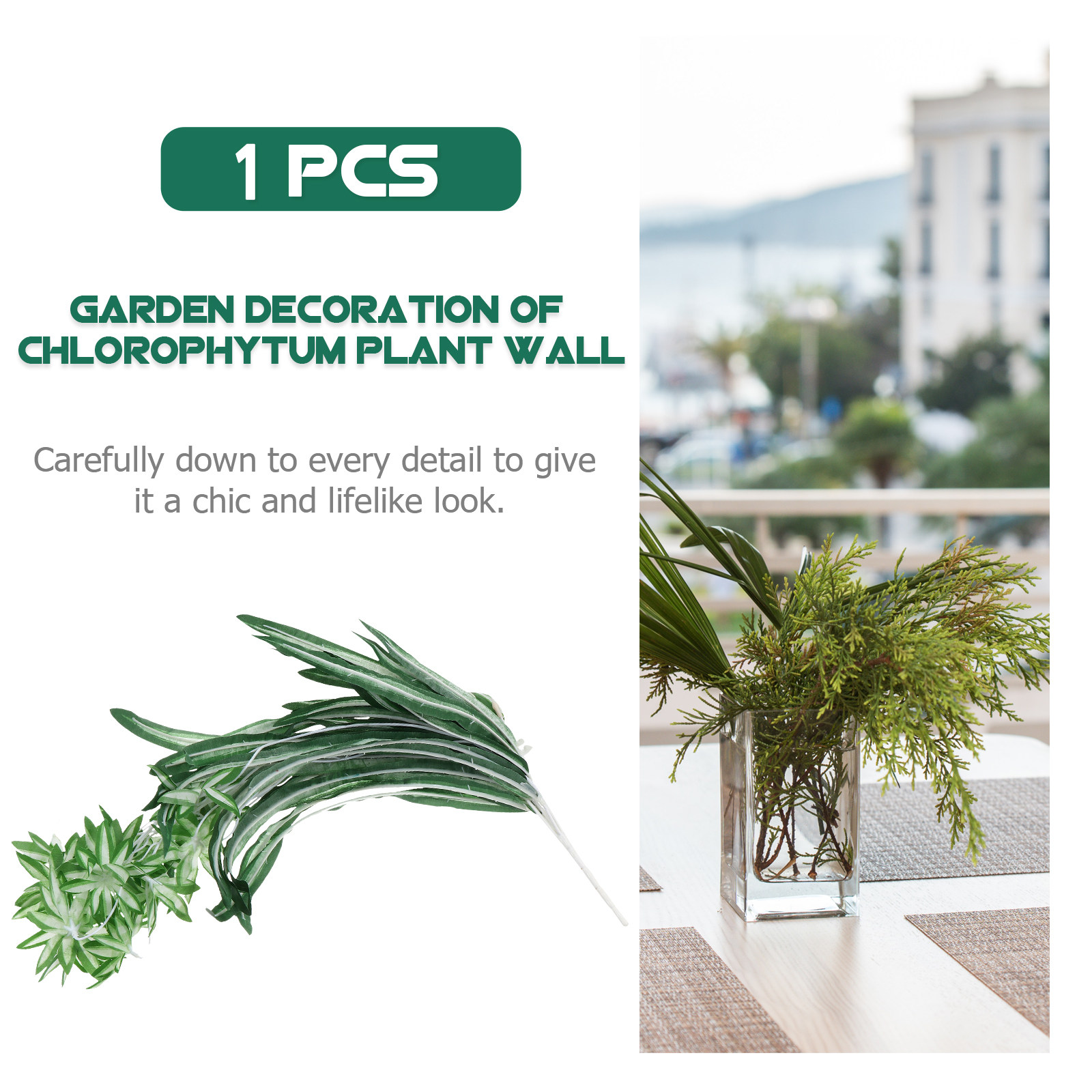 1Pcs Tanaman Chlorophytum Buat - Spider Plant Hanging ulasan dan harga